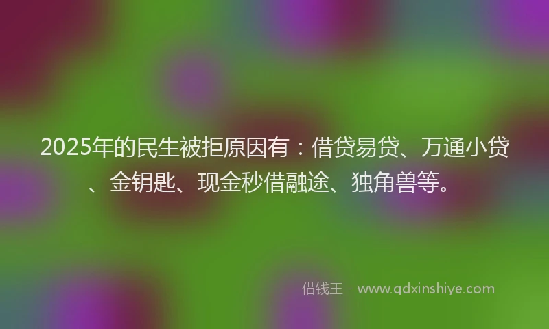 2025年的民生被拒原因有：借贷易贷、万通小贷、金钥匙、现金秒借融途、独角兽等。