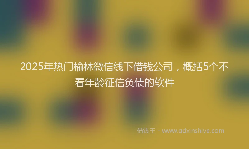 2025年热门榆林微信线下借钱公司，概括5个不看年龄征信负债的软件