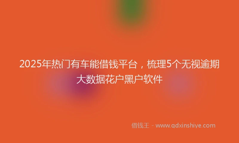 2025年热门有车能借钱平台，梳理5个无视逾期大数据花户黑户软件
