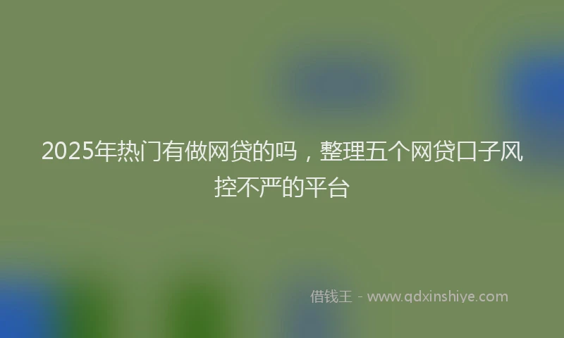 2025年热门有做网贷的吗，整理五个网贷口子风控不严的平台