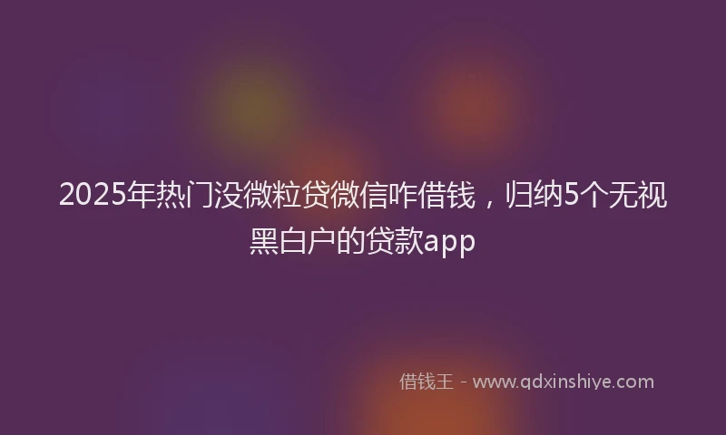 2025年热门没微粒贷微信咋借钱，归纳5个无视黑白户的贷款app