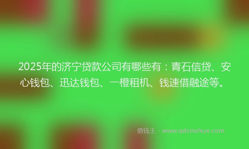 2025年的济宁贷款公司有哪些有：青石信贷、安心钱包、迅达钱包、一橙租机、钱速借融途等。