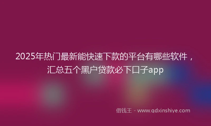 2025年热门最新能快速下款的平台有哪些软件，汇总五个黑户贷款必下口子app