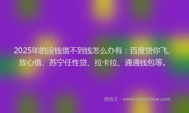 2025年的没钱借不到钱怎么办有：百度贷你飞、放心借、苏宁任性贷、拉卡拉、通通钱包等。