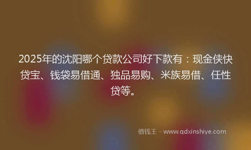 2025年的沈阳哪个贷款公司好下款有：现金侠快贷宝、钱袋易借通、独品易购、米族易借、任性贷等。