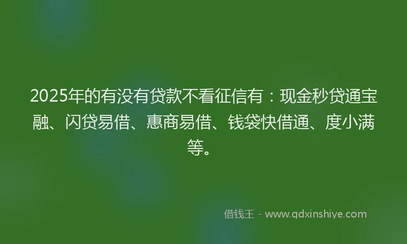 2025年的有没有贷款不看征信有：现金秒贷通宝融、闪贷易借、惠商易借、钱袋快借通、度小满等。