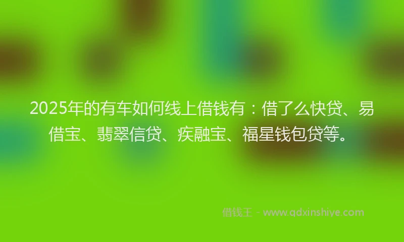 2025年的有车如何线上借钱有:借了么快贷、易借宝、翡翠信贷、疾融宝、福星钱包贷等。