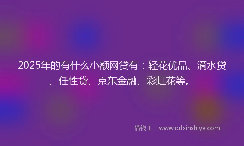 2025年的有什么小额网贷有：轻花优品、滴水贷、任性贷、京东金融、彩虹花等。