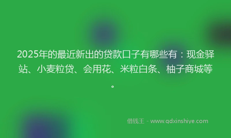 2025年的最近新出的贷款口子有哪些有:现金驿站、小麦粒贷、会用花、米粒白条、柚子商城等。