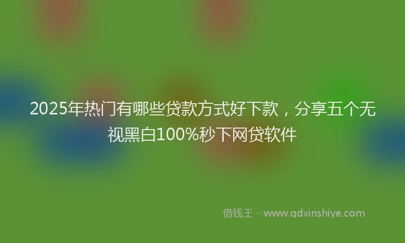 2025年热门有哪些贷款方式好下款,分享五个无视黑白100%秒下网贷软件