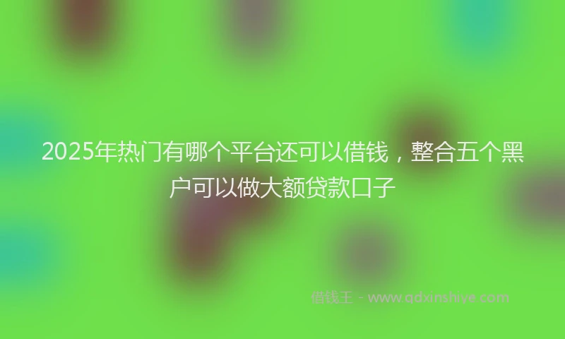 2025年热门有哪个平台还可以借钱，整合五个黑户可以做大额贷款口子