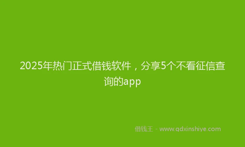 2025年热门正式借钱软件，分享5个不看征信查询的app