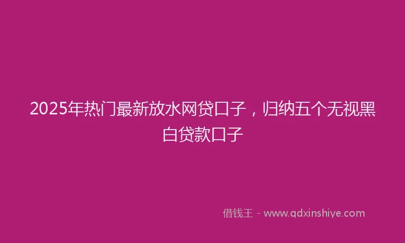 2025年热门最新放水网贷口子，归纳五个无视黑白贷款口子