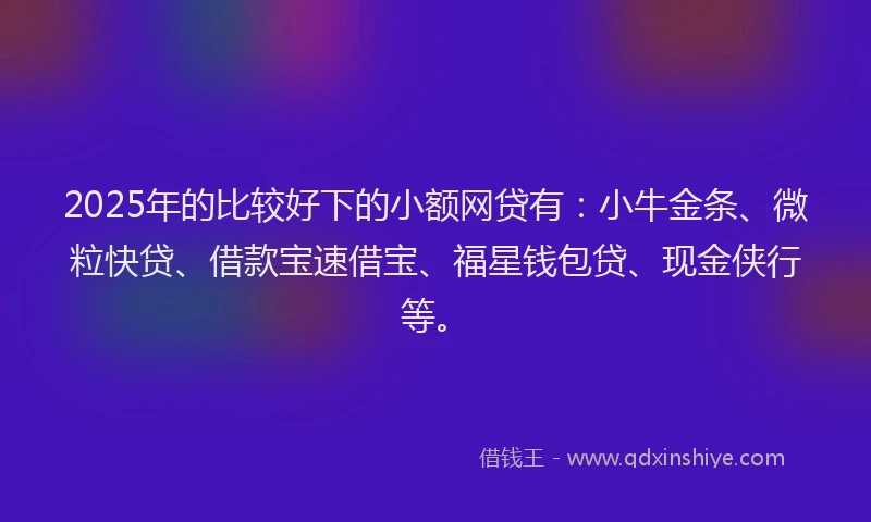 2025年的比较好下的小额网贷有:小牛金条、微粒快贷、借款宝速借宝、福星钱包贷、现金侠行等。