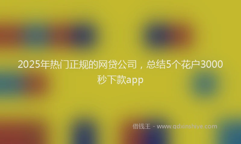 2025年热门正规的网贷公司，总结5个花户3000秒下款app