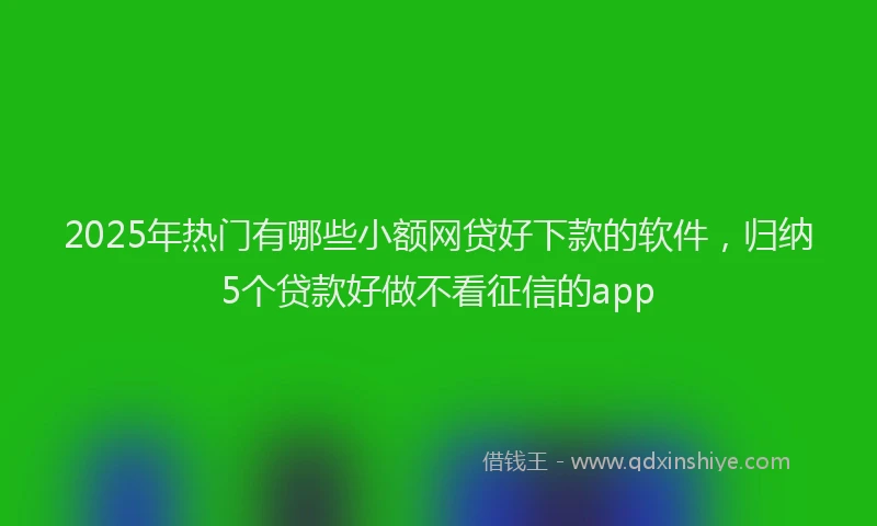 2025年热门有哪些小额网贷好下款的软件，归纳5个贷款好做不看征信的app