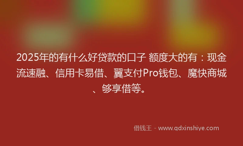 2025年的有什么好贷款的口子 额度大的有：现金流速融、信用卡易借、翼支付Pro钱包、魔快商城、够享借等。