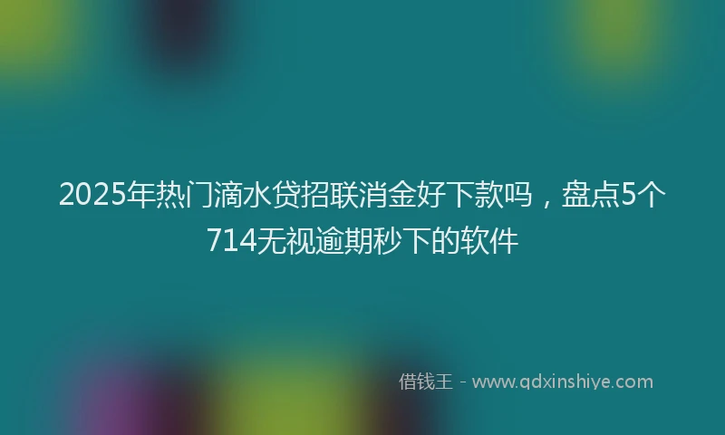 2025年热门滴水贷招联消金好下款吗，盘点5个714无视逾期秒下的软件