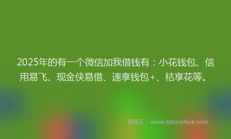 2025年的有一个微信加我借钱有：小花钱包、信用易飞、现金侠易借、速享钱包+、桔享花等。