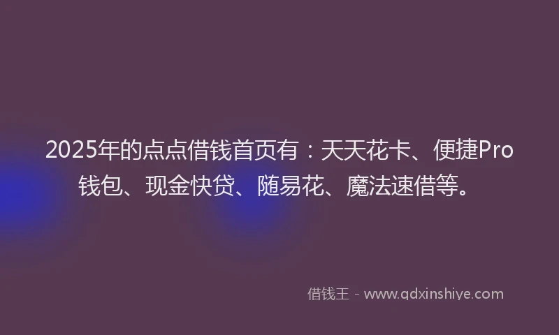 2025年的点点借钱首页有：天天花卡、便捷Pro钱包、现金快贷、随易花、魔法速借等。