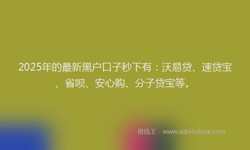2025年的最新黑户口子秒下有:沃易贷、速贷宝、省呗、安心购、分子贷宝等。