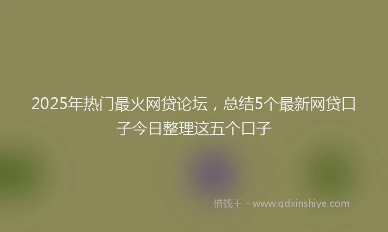 2025年热门最火网贷论坛,总结5个最新网贷口子今日整理这五个口子