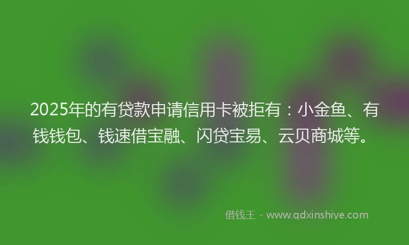 2025年的有贷款申请信用卡被拒有：小金鱼、有钱钱包、钱速借宝融、闪贷宝易、云贝商城等。