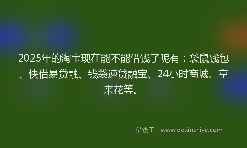 2025年的淘宝现在能不能借钱了呢有：袋鼠钱包、快借易贷融、钱袋速贷融宝、24小时商城、享来花等。