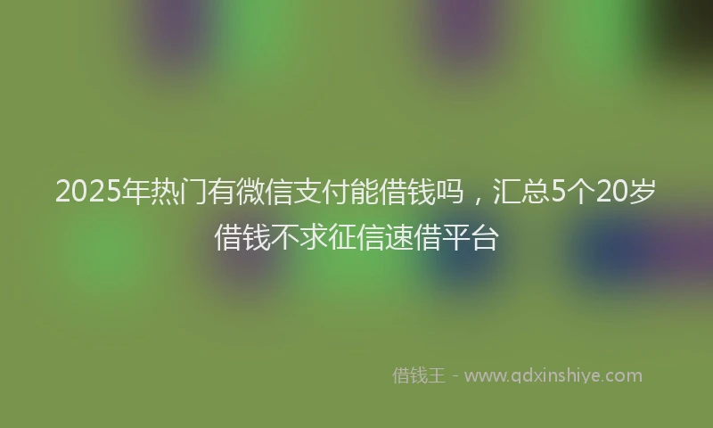 2025年热门有微信支付能借钱吗，汇总5个20岁借钱不求征信速借平台