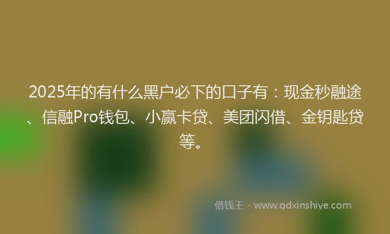 2025年的有什么黑户必下的口子有：现金秒融途、信融Pro钱包、小赢卡贷、美团闪借、金钥匙贷等。