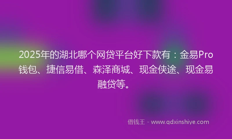 2025年的湖北哪个网贷平台好下款有：金易Pro钱包、捷信易借、森泽商城、现金侠途、现金易融贷等。