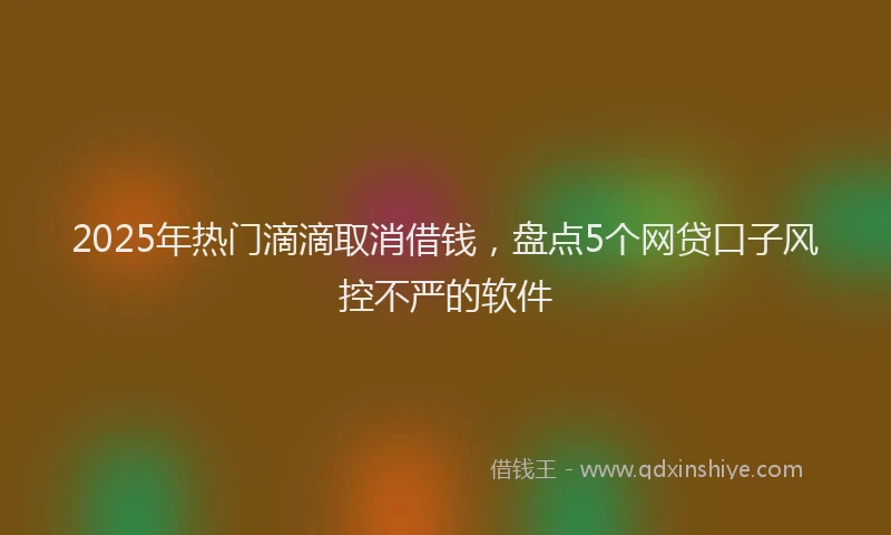 2025年热门滴滴取消借钱,盘点5个网贷口子风控不严的软件