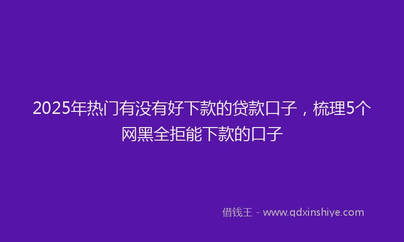 2025年热门有没有好下款的贷款口子,梳理5个网黑全拒能下款的口子