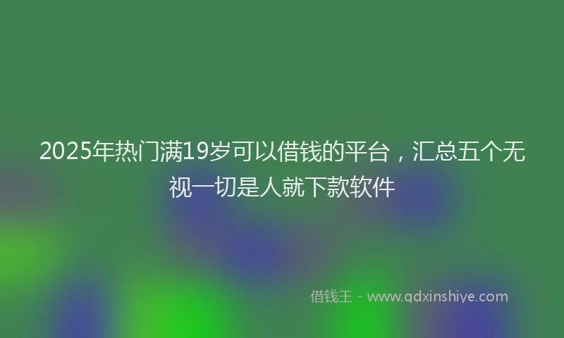 2025年热门满19岁可以借钱的平台，汇总五个无视一切是人就下款软件
