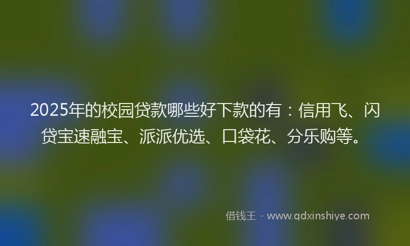 2025年的校园贷款哪些好下款的有：信用飞、闪贷宝速融宝、派派优选、口袋花、分乐购等。