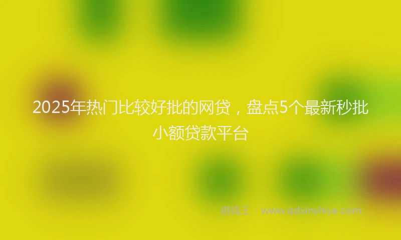 2025年热门比较好批的网贷，盘点5个最新秒批小额贷款平台