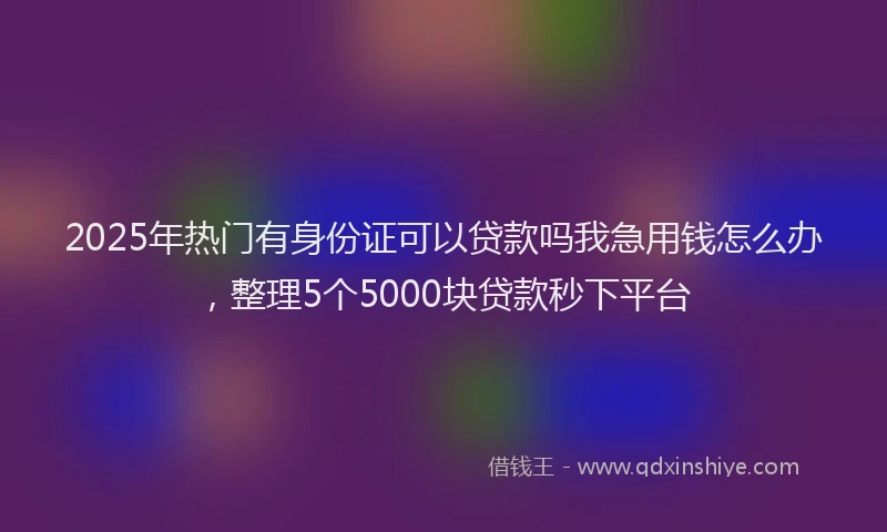 2025年热门有身份证可以贷款吗我急用钱怎么办,整理5个5000块贷款秒下平台