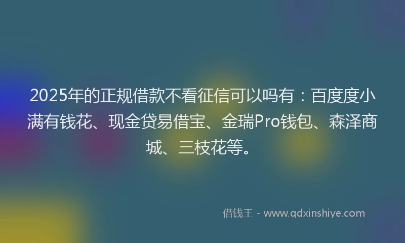 2025年的正规借款不看征信可以吗有：百度度小满有钱花、现金贷易借宝、金瑞Pro钱包、森泽商城、三枝花等。