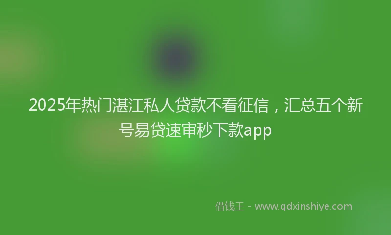 2025年热门湛江私人贷款不看征信，汇总五个新号易贷速审秒下款app