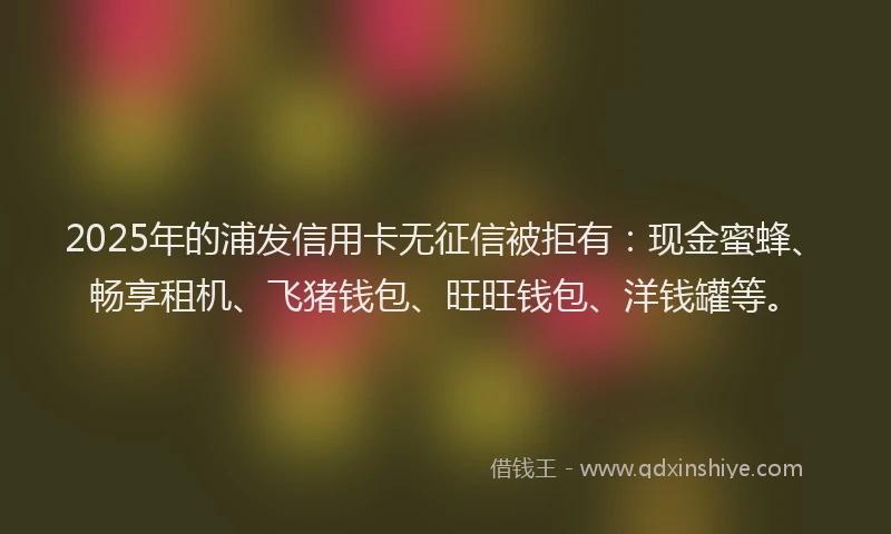 2025年的浦发信用卡无征信被拒有：现金蜜蜂、畅享租机、飞猪钱包、旺旺钱包、洋钱罐等。