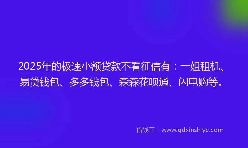 2025年的极速小额贷款不看征信有：一姐租机、易贷钱包、多多钱包、森森花呗通、闪电购等。