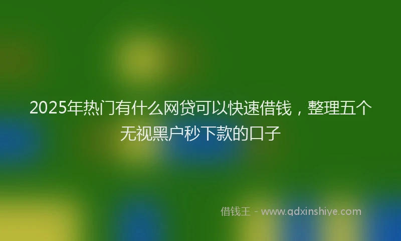 2025年热门有什么网贷可以快速借钱，整理五个无视黑户秒下款的口子