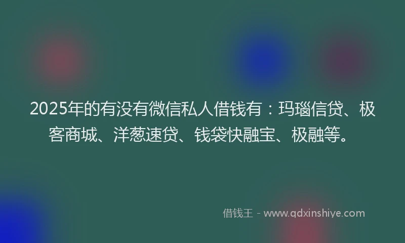 2025年的有没有微信私人借钱有：玛瑙信贷、极客商城、洋葱速贷、钱袋快融宝、极融等。