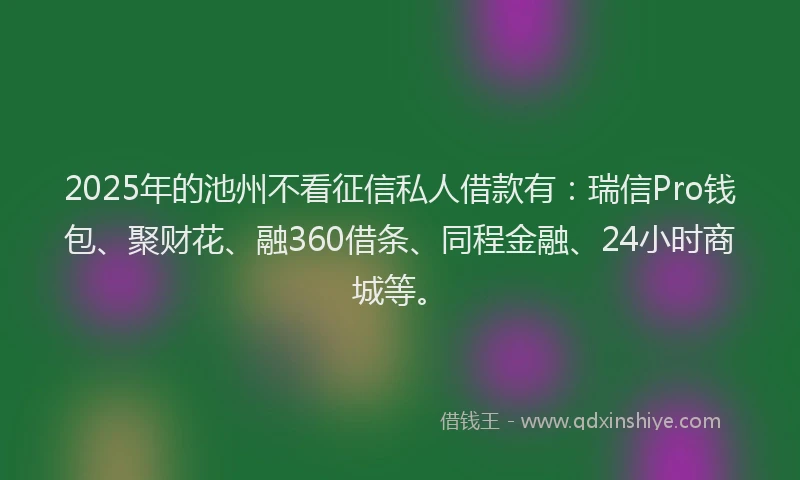 2025年的池州不看征信私人借款有：瑞信Pro钱包、聚财花、融360借条、同程金融、24小时商城等。