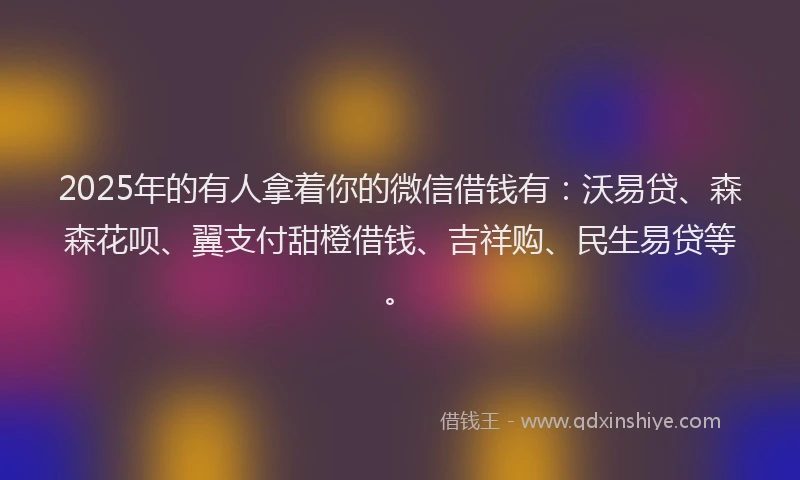 2025年的有人拿着你的微信借钱有：沃易贷、森森花呗、翼支付甜橙借钱、吉祥购、民生易贷等。