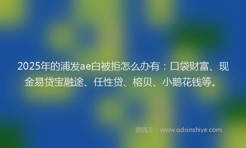 2025年的浦发ae白被拒怎么办有：口袋财富、现金易贷宝融途、任性贷、榕贝、小鹅花钱等。