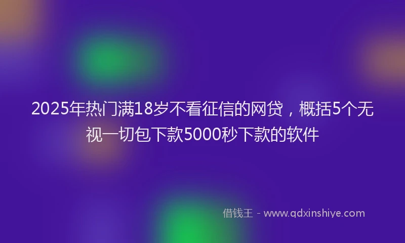 2025年热门满18岁不看征信的网贷，概括5个无视一切包下款5000秒下款的软件