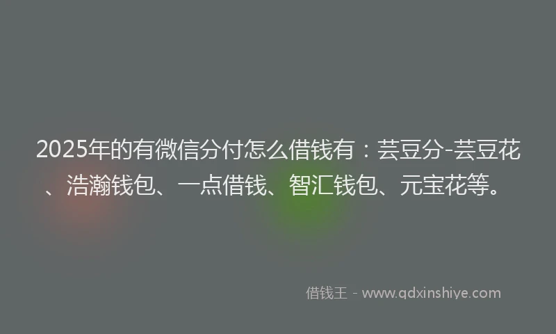 2025年的有微信分付怎么借钱有：芸豆分-芸豆花、浩瀚钱包、一点借钱、智汇钱包、元宝花等。