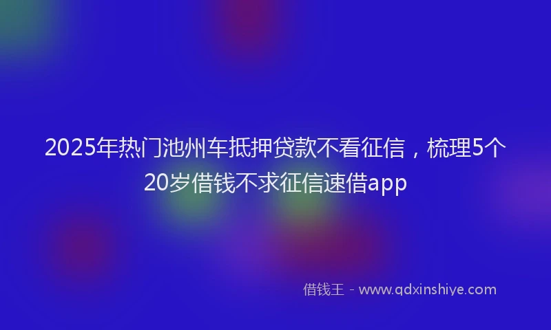 2025年热门池州车抵押贷款不看征信，梳理5个20岁借钱不求征信速借app