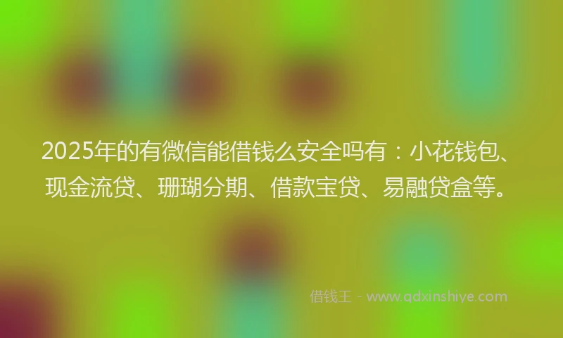 2025年的有微信能借钱么安全吗有：小花钱包、现金流贷、珊瑚分期、借款宝贷、易融贷盒等。